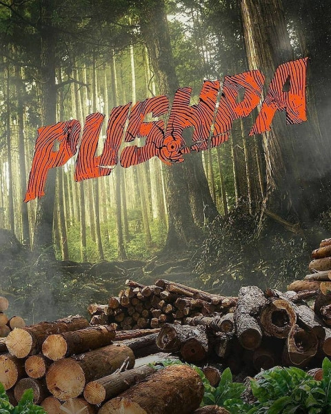 Pushpa Poster Editing Background For Picsart
