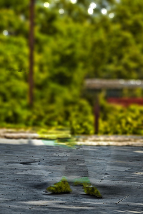 Rd Debu Blur Cb Background HD For Photoshop Editing