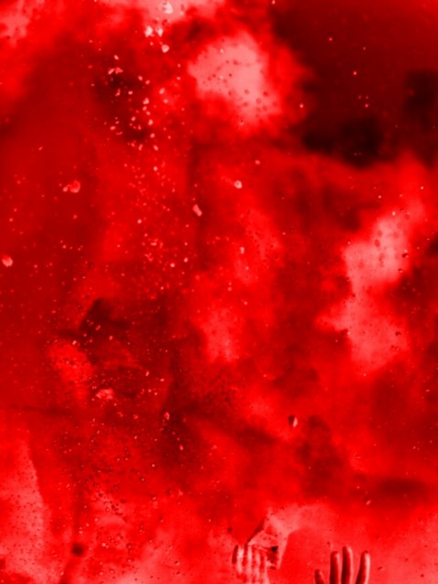 Red Colour Holi Photo Editing Background