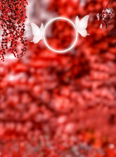 Red Snapseed HD Photo Editing Background Download