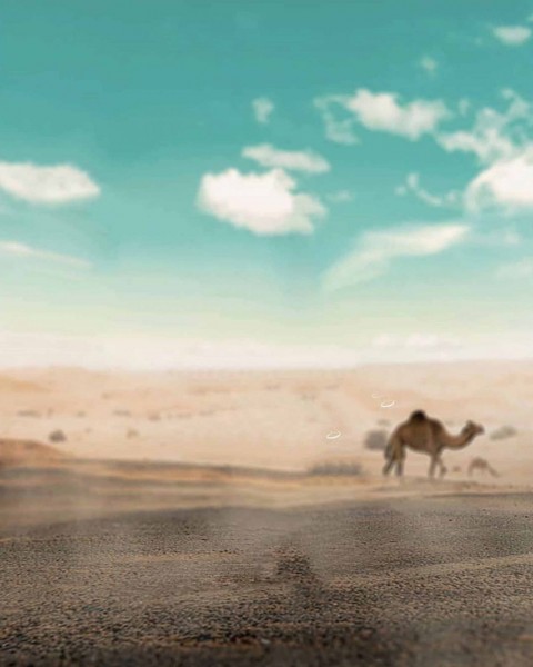 Road Snapseed Background For CB Photo Editing