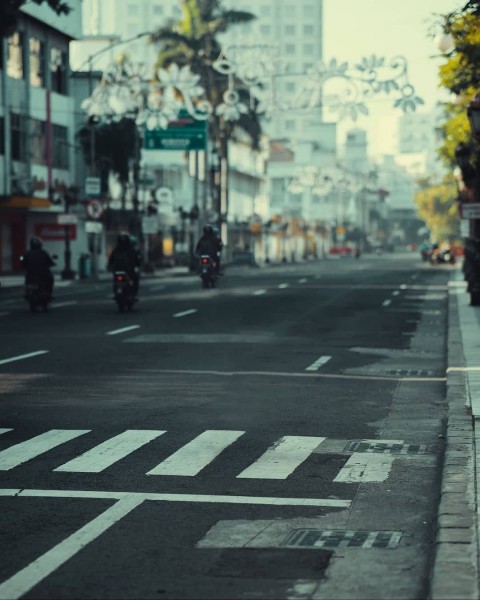 Road Zebra Picsart Background Images