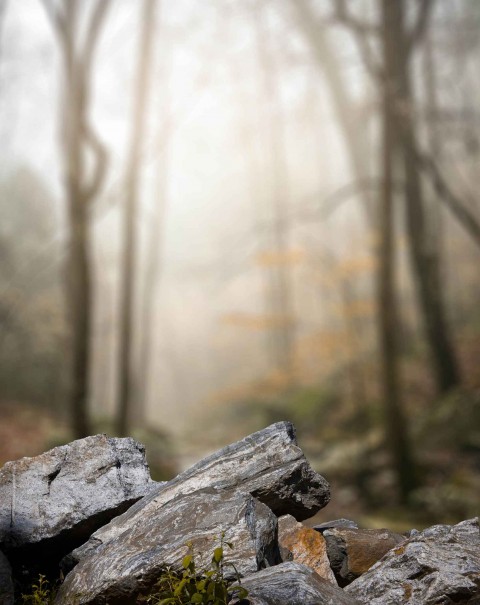 Rock CB Edit Blur Background Download