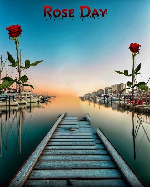 Rose Day Photo Editing Background