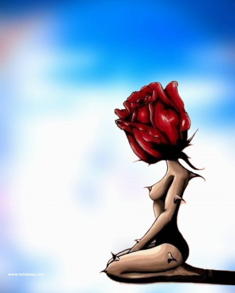Rose Trending CB Photo Editing HD Background