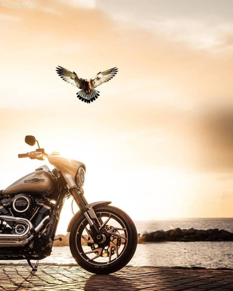 Royal Bike Cb Background With Eagle