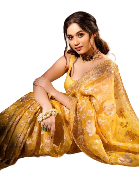 Sitting Cute Indian GIrls PNG in Saree Images HD Transparent Background