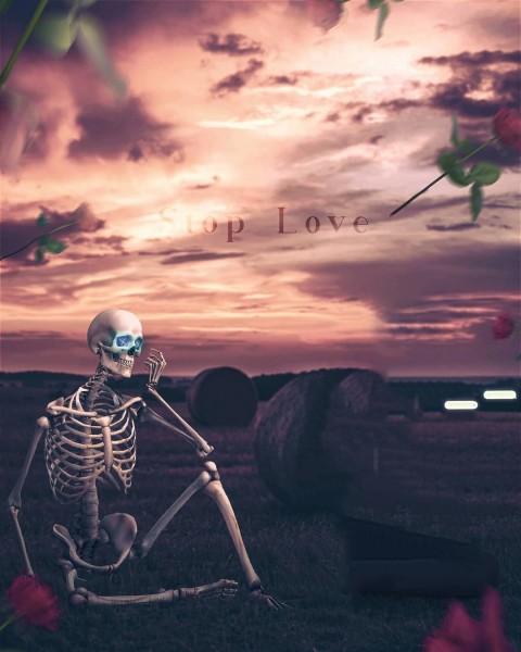 Skull Picsart Editing Background Hd
