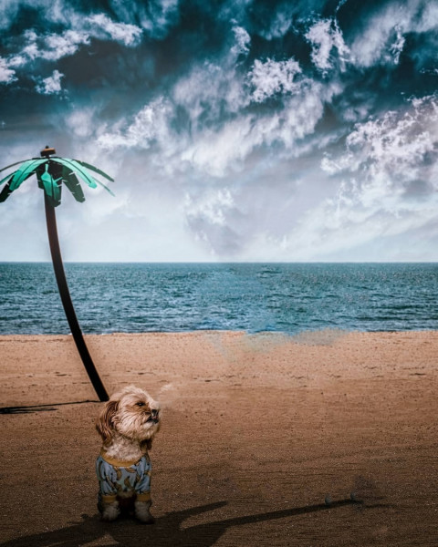 Sky Background Download