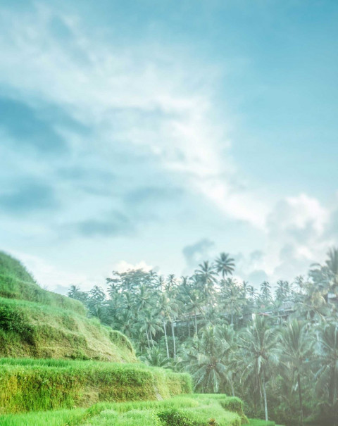 Sky Blur CB Background For Photo Editing HD