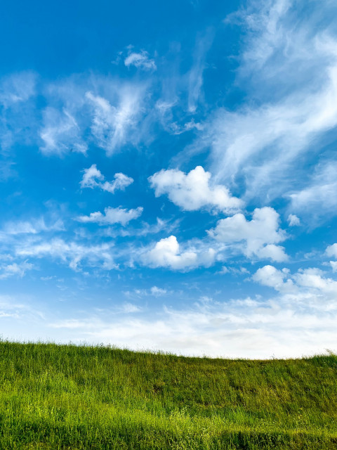 Sky With Grass Picsart Background HD For Photoshop Photo