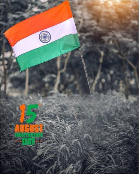 Snapseed 15 August Background For Editing