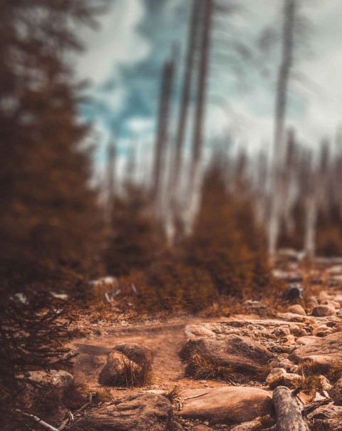 Snapseed Background Full HD Download Free