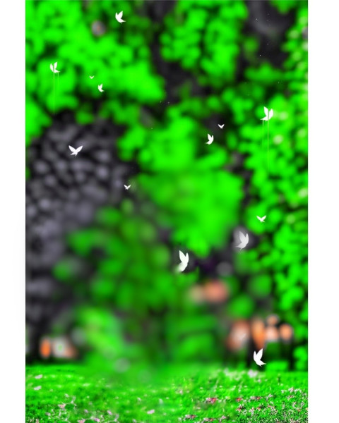 Snapseed CB Editing Green NAture Background HD