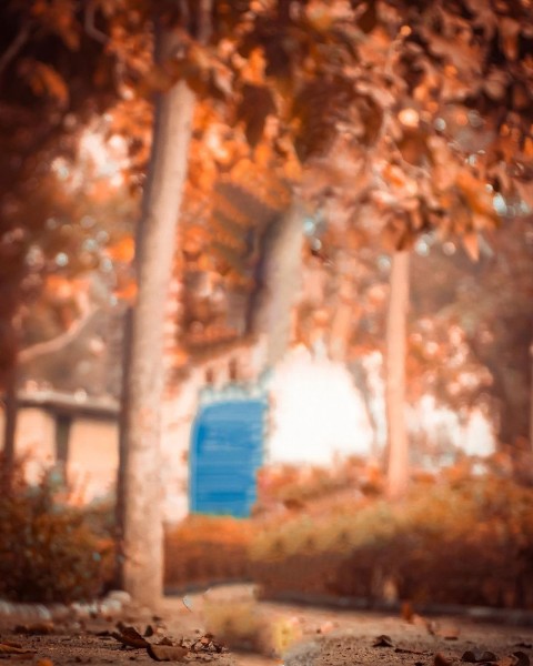 Snapseed Colourful Background Download Hd
