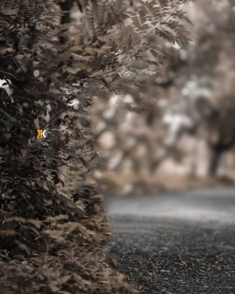 Snapseed Dark Background Download For Photo Editing