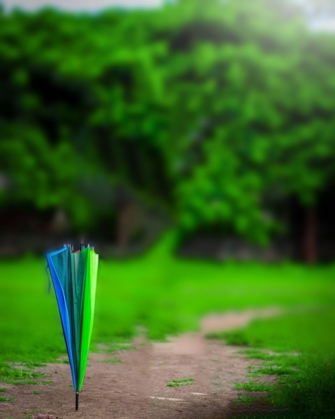 Snapseed Editing CB Background Download