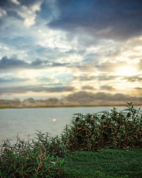 Snapseed Editing Nature Background Full HD
