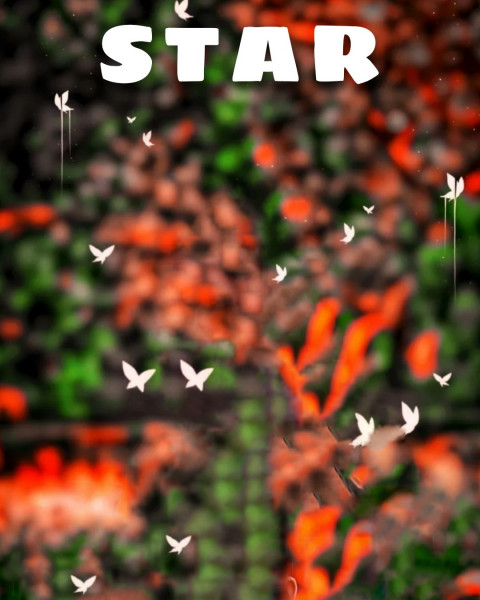 Snapseed HD Star Background For Photoshop Photo Editing