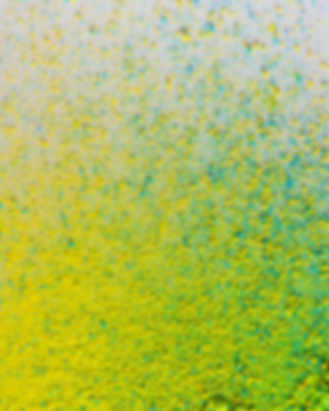 Snapseed Holi Editing Background Full HD Download Pics