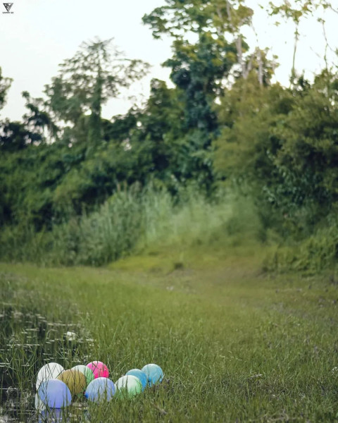 Snapseed Nature Cool Forest Balloon Background Stock Editing Images CB