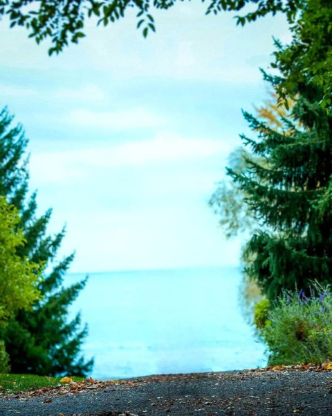 Snapseed Nature Grass Wallpapers HD Background For Editing