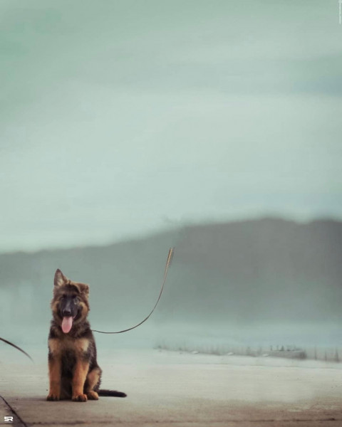 Snapseed Photo Editing Background Download Free