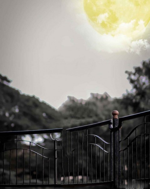 Snapseed Photo Editing Background Download hd