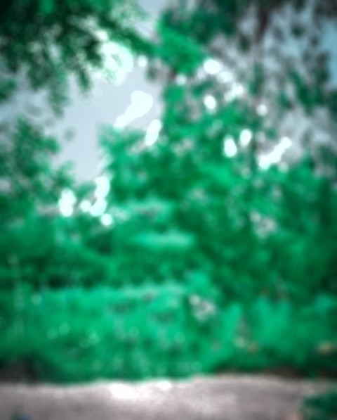 Snapseed Viral Forest Blur Background CB Editing Images