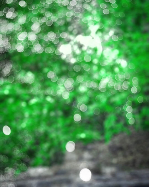 Snapseed Viral Forest Blur Background CB Green Images