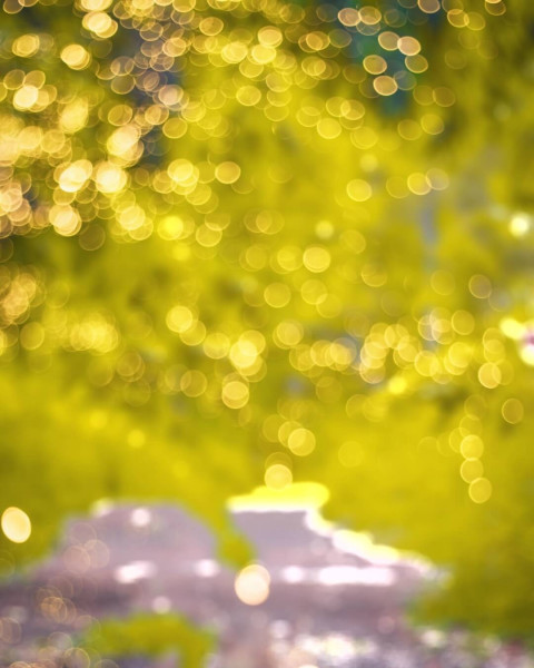 Snapseed Viral Forest Blur Background CB Yellow Images