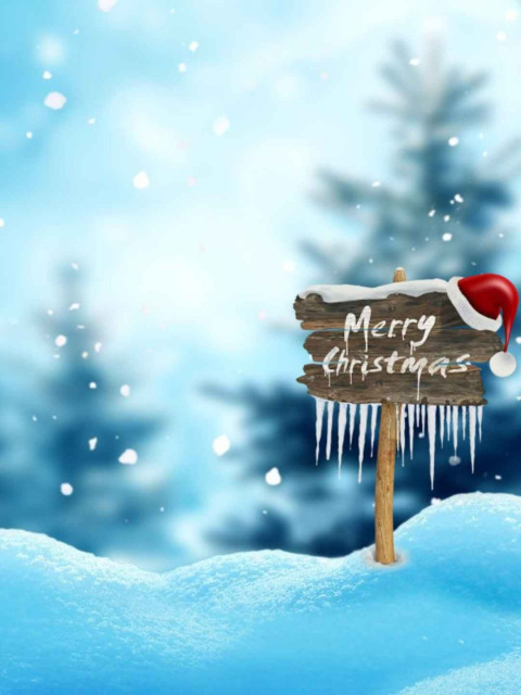 Merry christmas cb videos