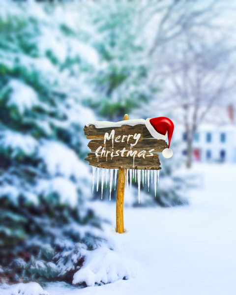 Snowfall With Christmas Tree CB Editing HD Background