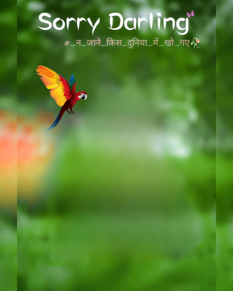 Sorry Darling Photo Editing Background Hd Free