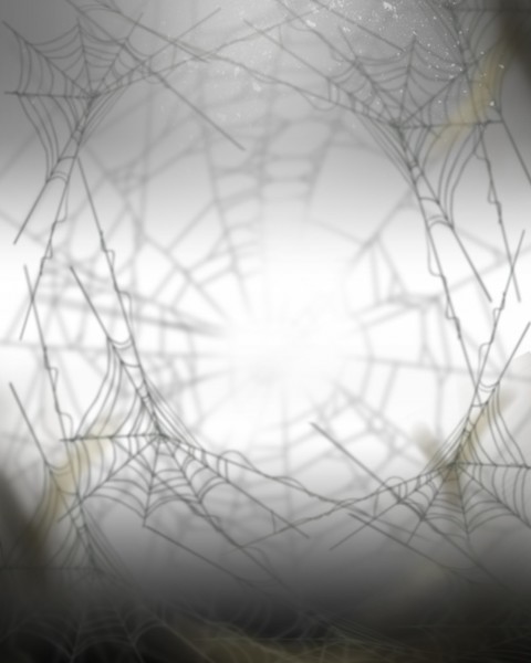 Spider Web CB Background Full HD