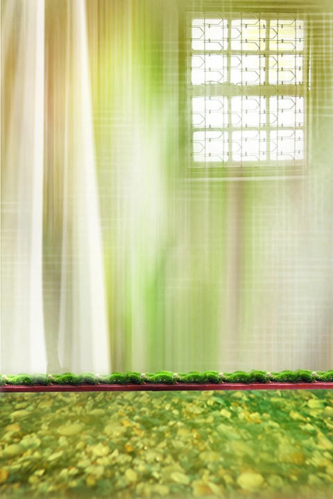 Studio Background Download For Outdoor