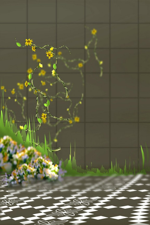 Studio Background Download For Outdoor New
