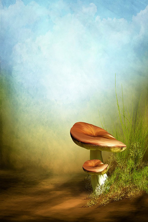 Studio Background Download For Photo Editing Ultra