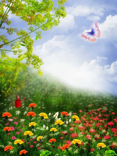 Studio Background Flowers With Butterfly
