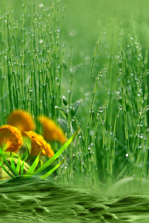 Studio Outdoor Background Wallpapers Download
