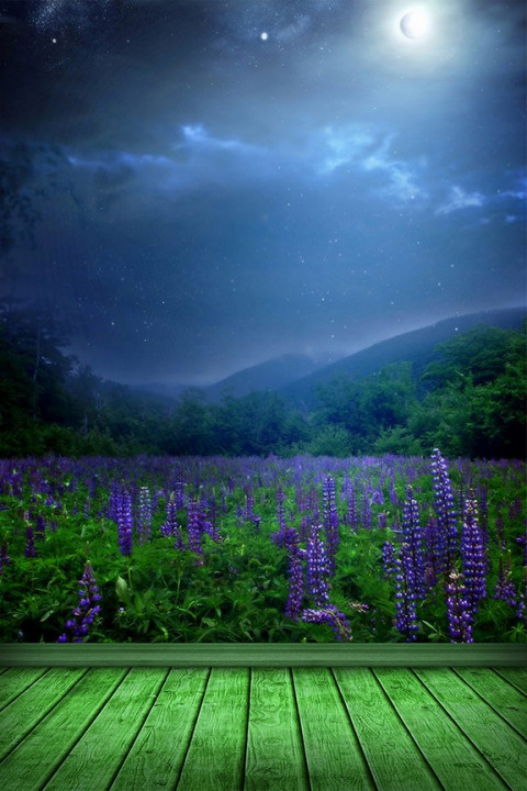 Studio Phooto Editing Background Full HD