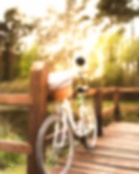 Sunlight Blur Picsart CB Editing HD Background New