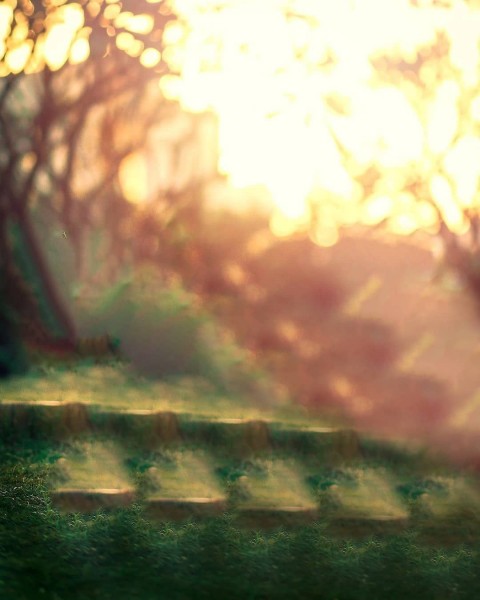 Sunlight Cb Edit Background Full Hd