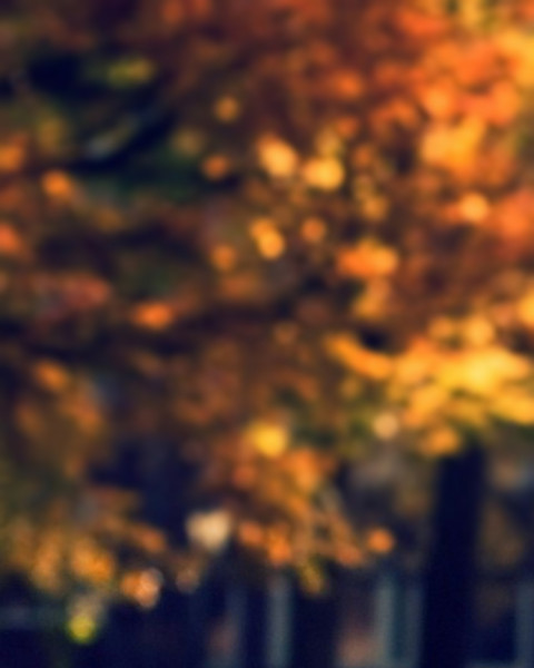 Sunset CB Picsart Blur Editing Background Download