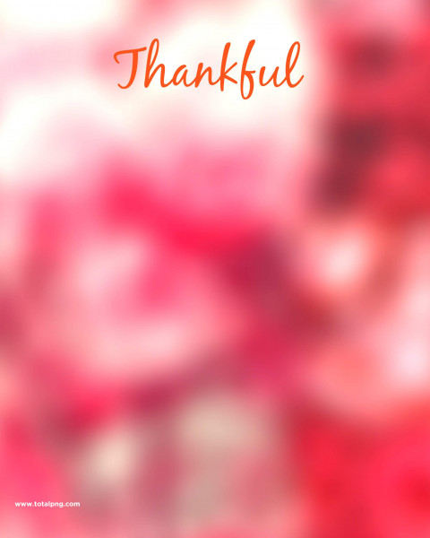 Thankful Creative Editing Background For CB PicsArt