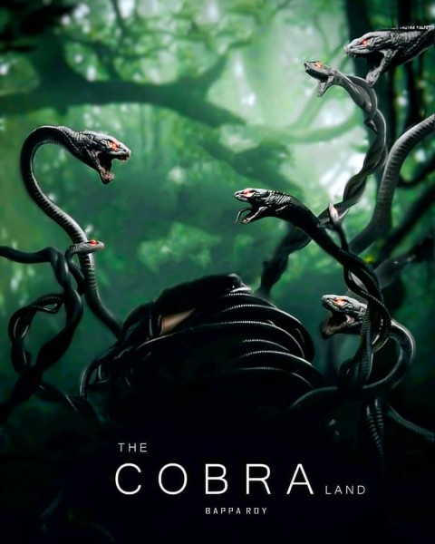 The Cobra Movie Poster Background Free Download