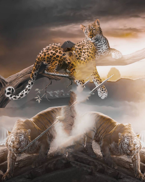 Tiger Instagram Trending Background New For CB & Picsart