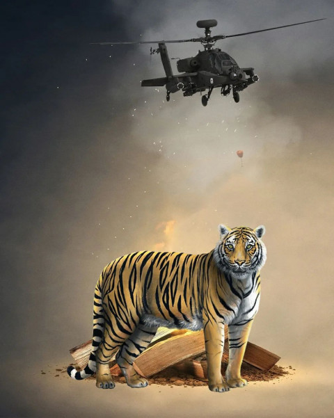 Tiger Photo Editing Background For CB PicsArt