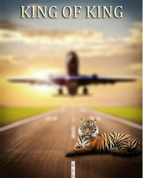 Tiger Photo Editing Cb Background HD