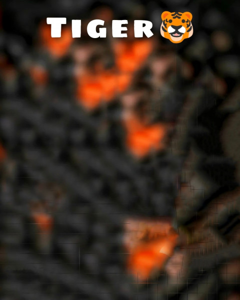 Tiger Picsart Photo Editing New Background HD